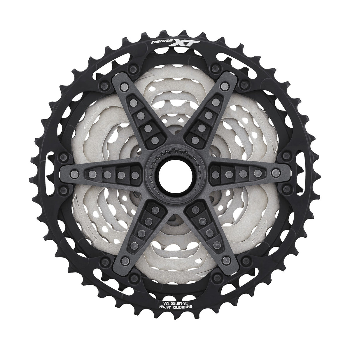 CS-M8100-12_10-45T_C260_2