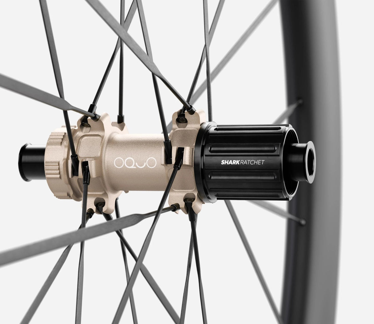 O1920015