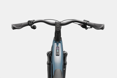 Tesoro Neo 2 Cannondale 2025 Storm Cloud #4