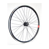 Rueda Delantera Gurpil Carretera New DPX Freno Disco Cierre Aluminio Negro